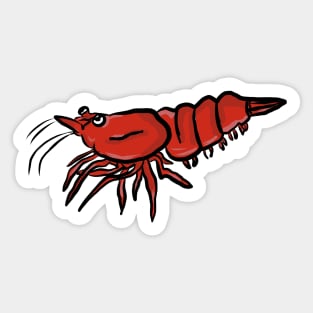 Cherry Shrimp Sticker